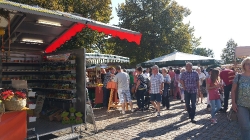 Bauernmarkt