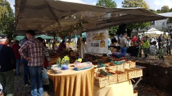 Bauernmarkt 1.10.17