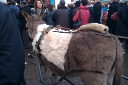 Weihnachtsmarkt