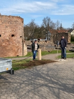 neue Sitzbänke für den Ostturm